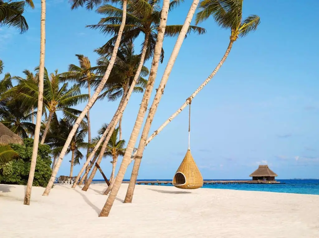 Weißer Sandstrand auf Velaa Private Island mit Palmen, einer hängenden Korbliege und einem Wasserbungalow im Hintergrund.