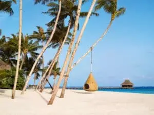 Weißer Sandstrand auf Velaa Private Island mit Palmen, einer hängenden Korbliege und einem Wasserbungalow im Hintergrund.