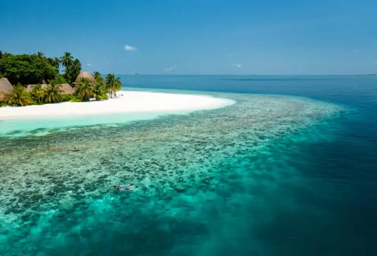 Malediven Schnorcheln Paradies: Luftaufnahme von Insel mit weißem Sandstrand, Palmen und klarem, türkisfarbenem Wasser. Ideal für "Malediven Hausriff Ranking" und die "beste Insel zum Schnorcheln Malediven".