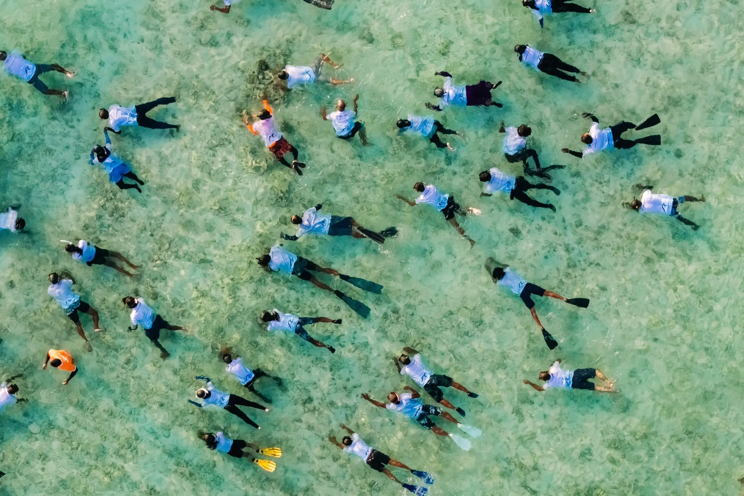 Draufsicht: Menschen schnorcheln im türkisfarbenen Wasser der Malediven, viele tragen weiße Hemden. Ein Rekord für das Meer – vielleicht ein Guinness-Weltrekord im Schnorcheln?