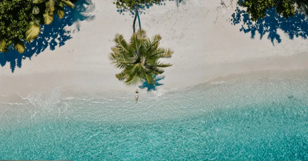 Wahl-der-richtigen-Insel-Malediven-Strand-Palme