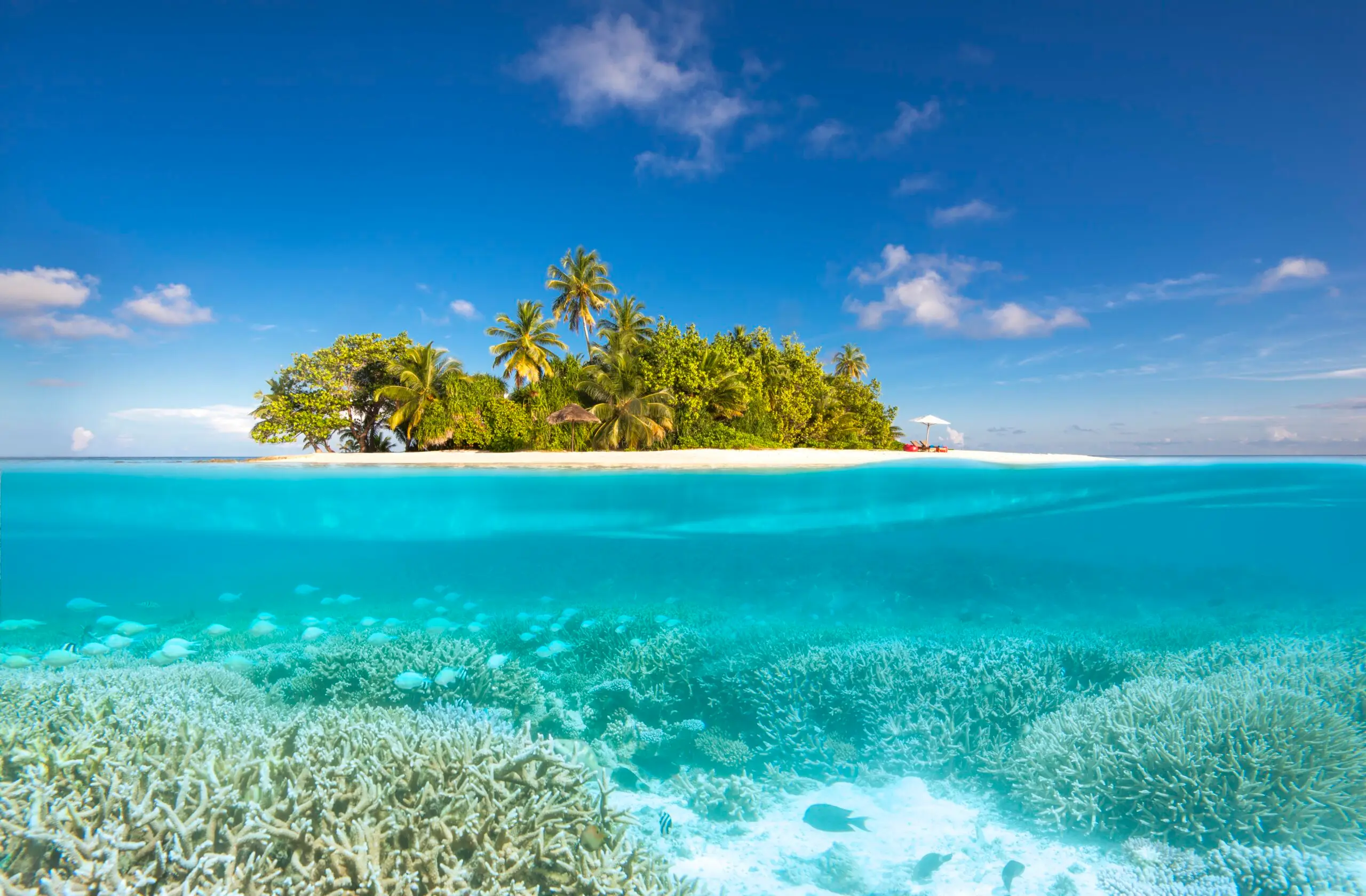 Tropische Insel mit Palmen, weißem Sandstrand und türkisfarbenem Wasser über einem Korallenriff mit Fischen
